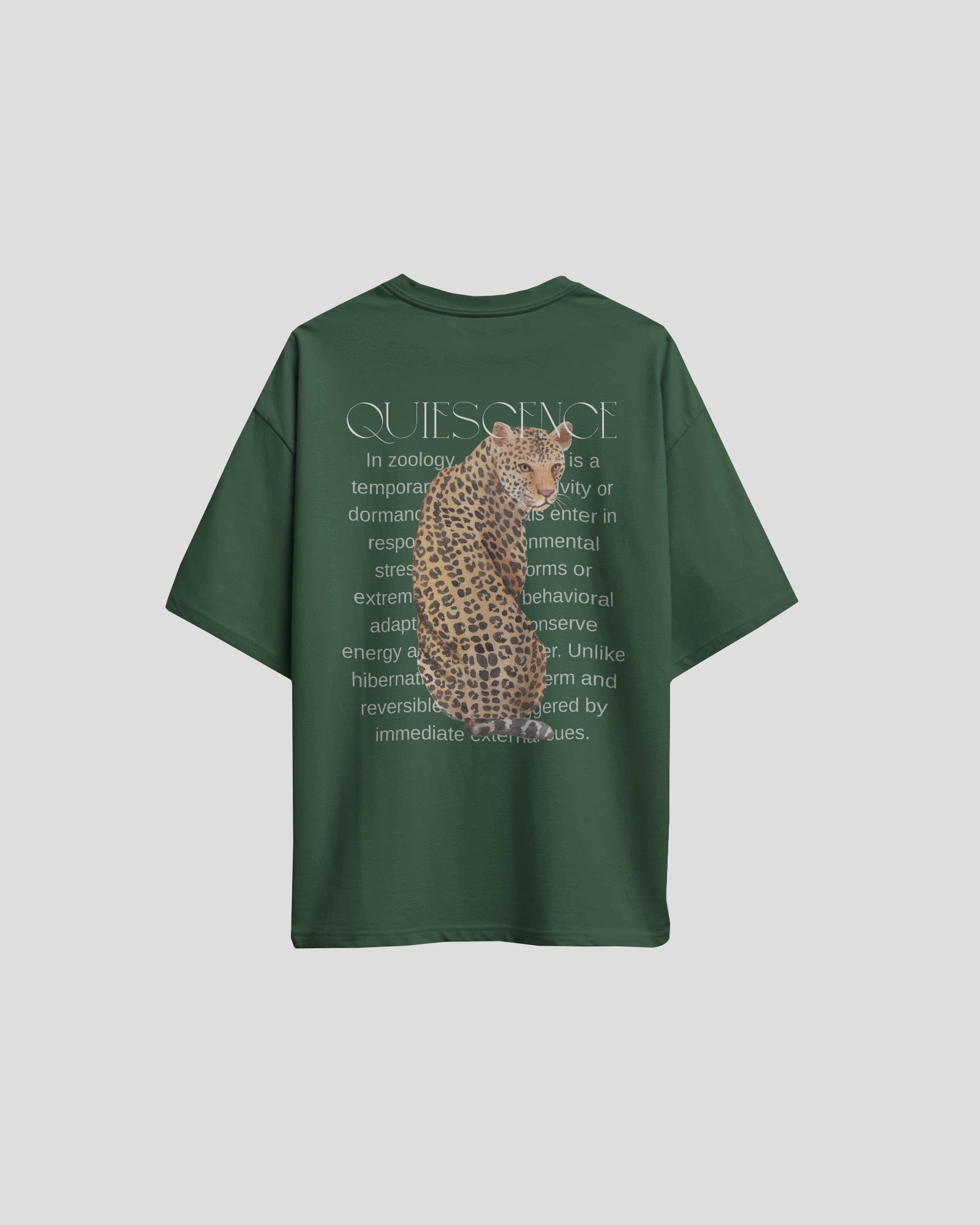 Unisex Quiescence Oversized T-shirt