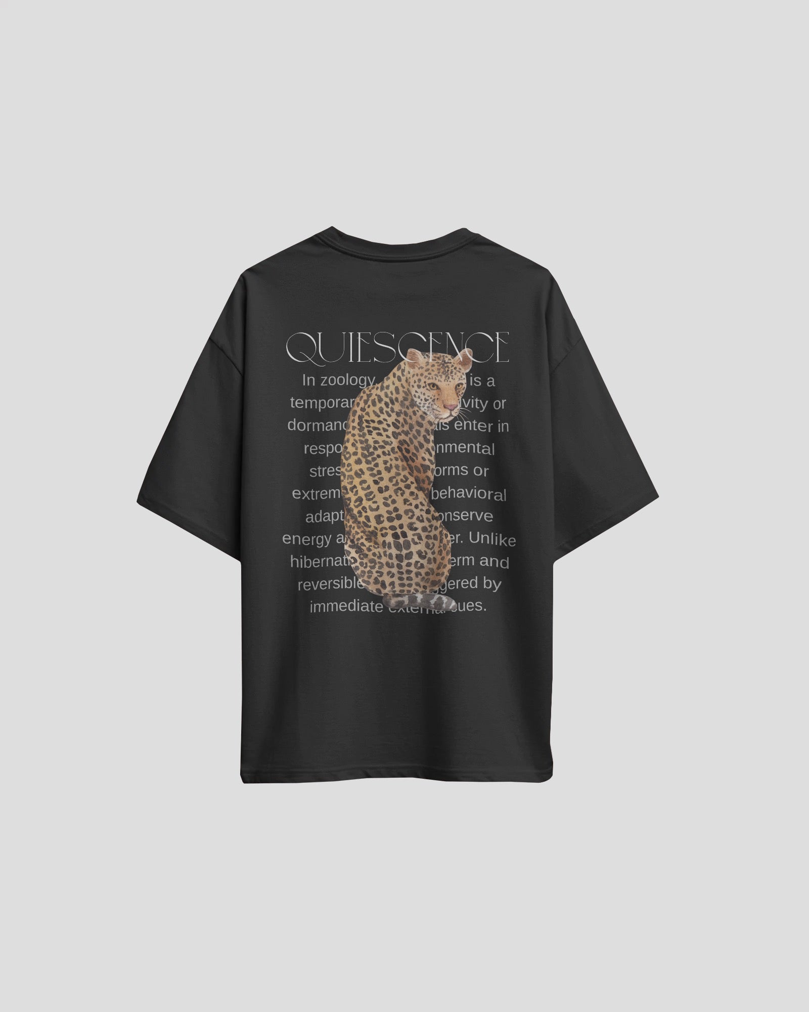 Unisex Quiescence Oversized T-shirt