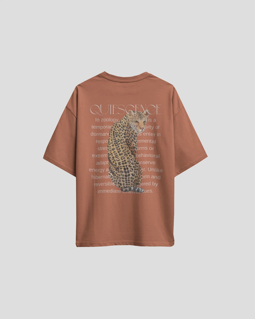 Unisex Quiescence Oversized T-shirt